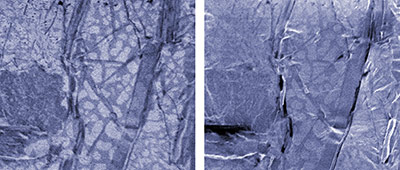 NIST 公開的焊料 FIB 與 SEM 影像