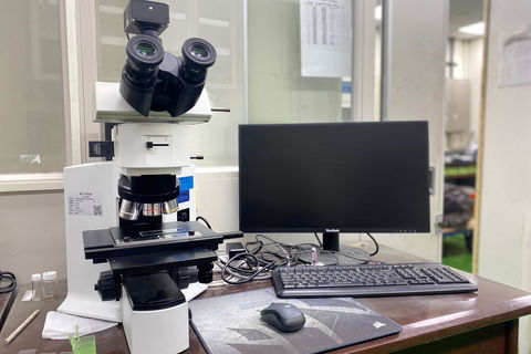 光學顯微鏡 (明場-暗場)